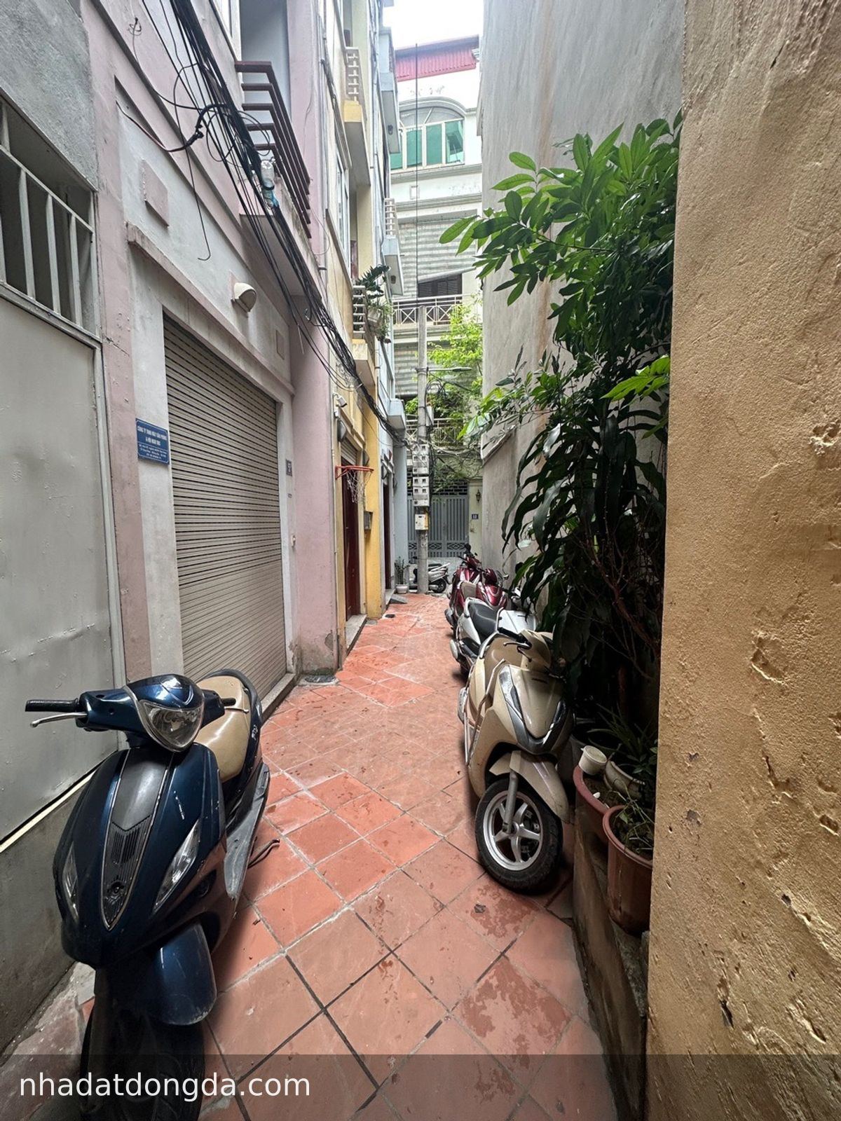 Ảnh 5 nhà Phố Hào Nam, Giảng Võ