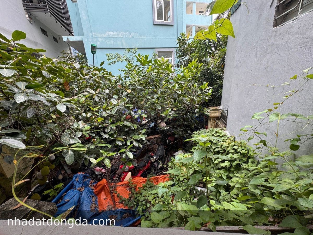 Ảnh 5 nhà Cát Linh, Cát Linh