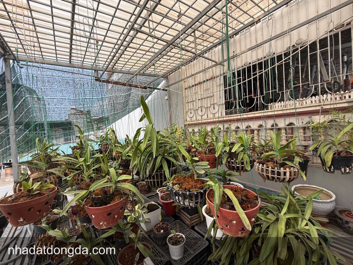 Ảnh 3 nhà Nguyễn Lương Bằng, Ô Chợ Dừa