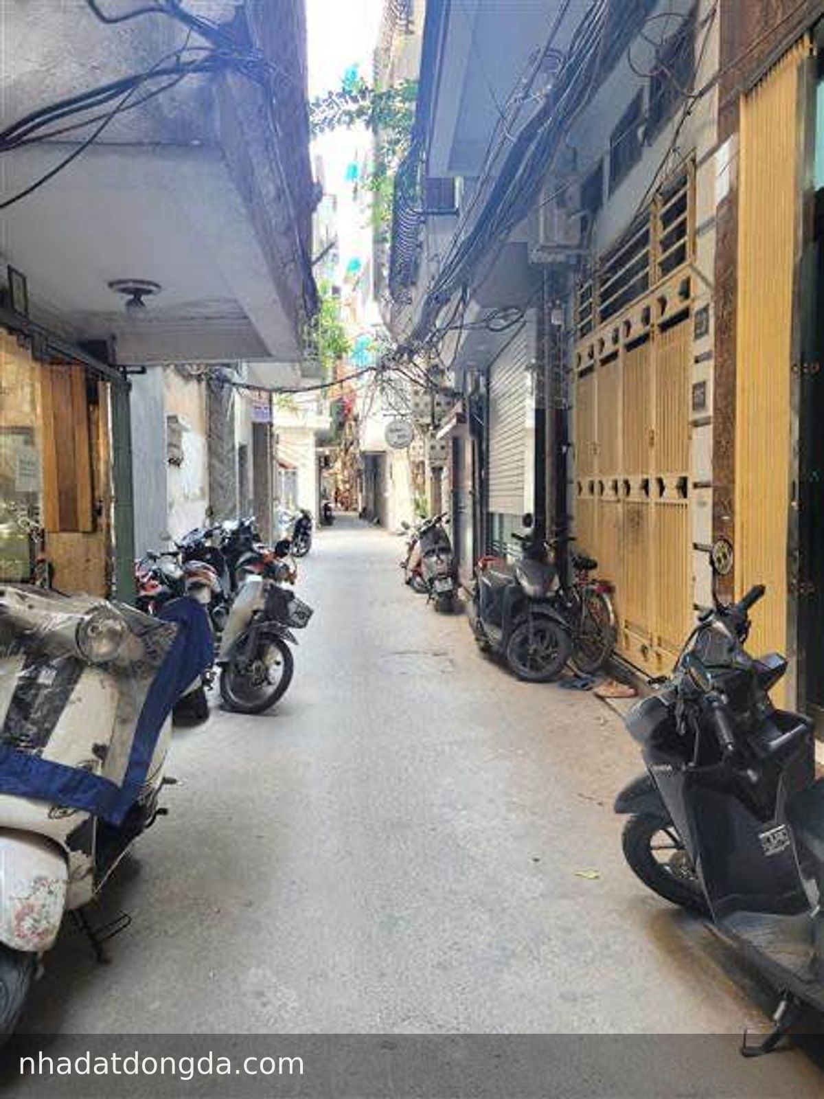 Ảnh 2 nhà Lê Duẩn, Văn Miếu - Quốc Tử Giám