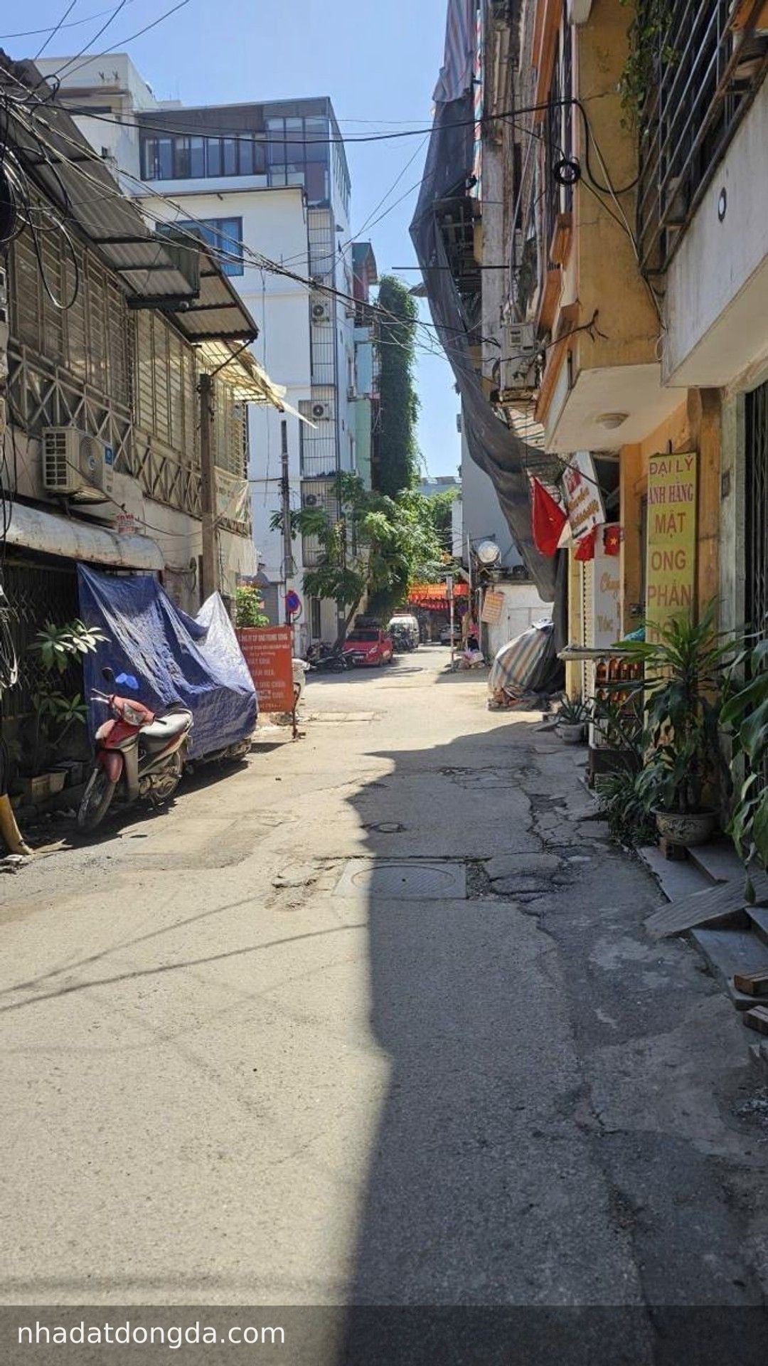 Ảnh 5 nhà Đông Tác, Kim Liên