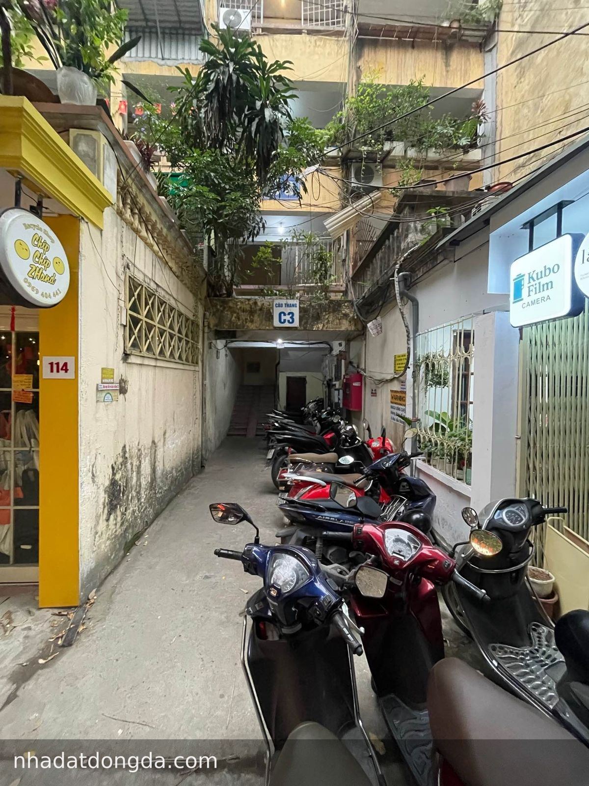 Ảnh 4 nhà P216 TT C3 Hoàng Ngọc Phách, Láng